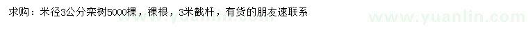 求購米徑3公分欒樹