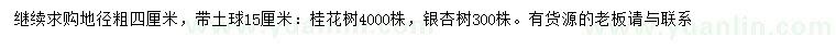 求購地徑4公分桂花、銀杏