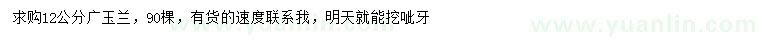 求購(gòu)12公分廣玉蘭