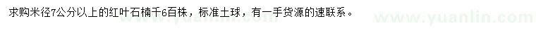 求購米徑7公分以上紅葉石楠