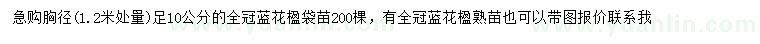 求購胸徑10公分藍花楹