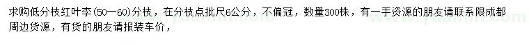求購50-60公分紅葉李