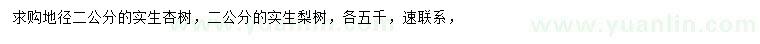 求購地徑2公分杏樹、梨樹