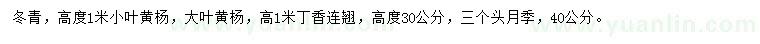 求購冬青、小葉黃楊、大葉黃楊等