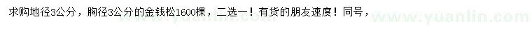 求購(gòu)地徑3公分金錢(qián)松