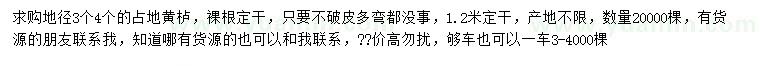 求購地徑3、4公分黃櫨