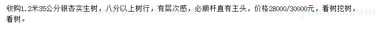 求購1.2米35公分銀杏