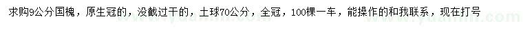 求購9公分國槐