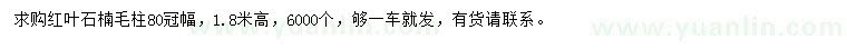 求購冠幅80公分紅葉石楠