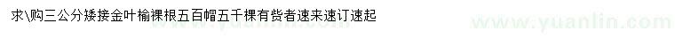 求購(gòu)3公分矮接金葉榆