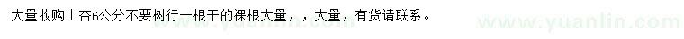 求購6公分山杏