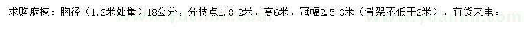 求購(gòu)胸徑1.2米量18公分麻楝