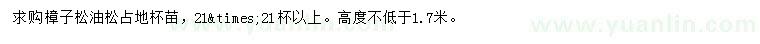 求購樟子松