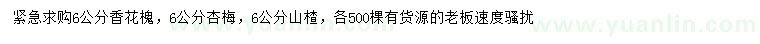 求購香花槐、杏梅、山楂