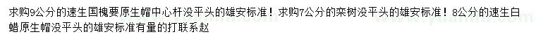 求購速生國槐、欒樹、速生白蠟