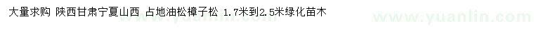 求購高1.7-2.5米油松、樟子松