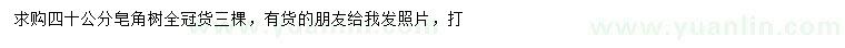 求購40公分皂角樹
