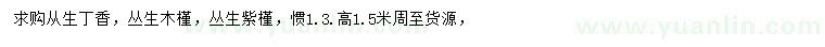 求購從生丁香、叢生木槿、叢生紫槿