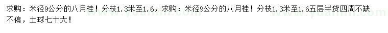 求購米徑9公分八月桂