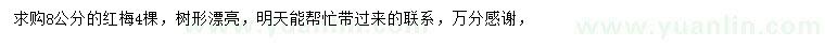 求購8公分紅梅