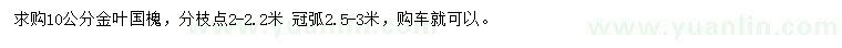 求購(gòu)10公分金葉國(guó)槐