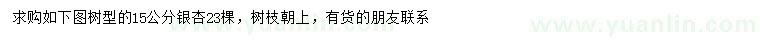 求購(gòu)15公分銀杏