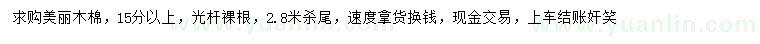求購15公分以上美麗木棉