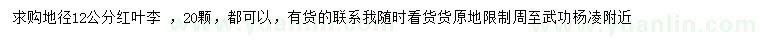 求購地徑12公分紅葉李