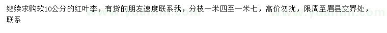 求購10公分紅葉李