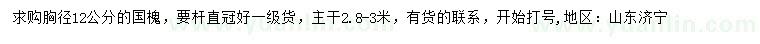 求購胸徑12公分國槐