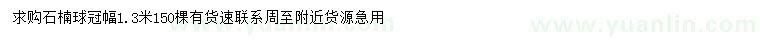 求購(gòu)冠幅1.3米石楠球
