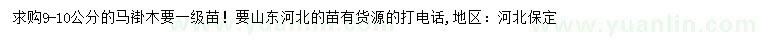 求購9-10公分馬褂木