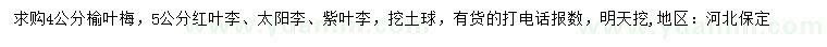 求購榆葉梅、紅葉李、太陽李等