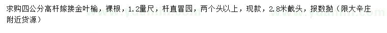 求購4公分高桿金葉榆