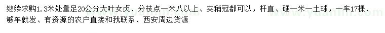 求購1.3米處量20公分大葉女貞