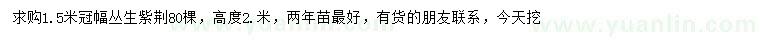 求購(gòu)冠幅1.5米叢生紫荊