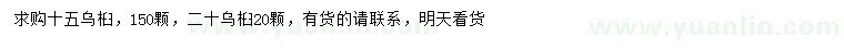 求購15公分烏桕