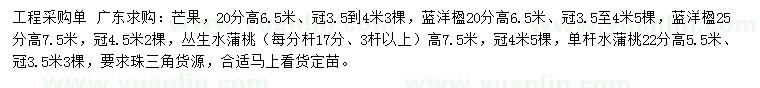 求購芒果、藍(lán)洋楹、叢生水蒲桃等