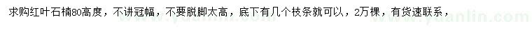 求購高80公分紅葉石楠