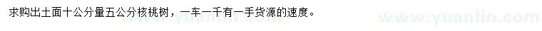求購10公分量5公分核桃樹