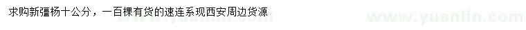 求購10公分新彊楊