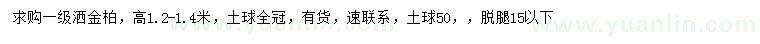 求購高1.2-1.4米灑金柏