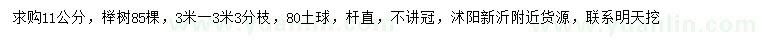 求購11公分櫸樹