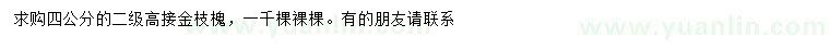 求購4公分高接金枝槐