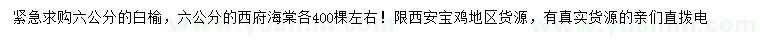 求購6公分白榆、西府海棠