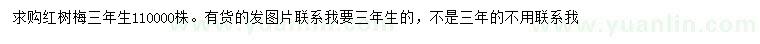 求購(gòu)紅樹梅