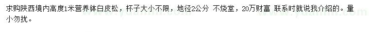 求購高1米白皮松