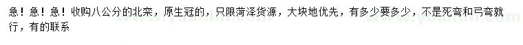求購8公分北欒