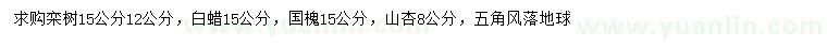 求購(gòu)欒樹(shù)、白蠟、國(guó)槐等