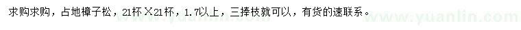 求購(gòu)樟子松